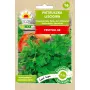 Nasiona Toraf pietruszka naciowa Festival 68 (Petroselinum crispum) świeże nasiona ziół 7 m rząd