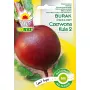 Burak 'Czerwona Kula' (Beta vulgaris) nasiona Toraf — 6 miesięcy trwałości