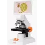 Mikroskop cyfrowy MatataLab MatataStudio MT3-4 — model MT3-4 mikroskop cyfrowy