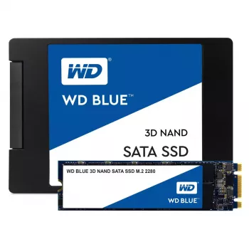 Dysk SSD Western Digital 250 GB M.2 6 Gbit/s WDS250G2B0B