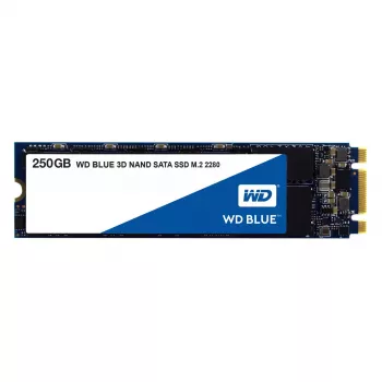 Dysk SSD Western Digital 250 GB M.2 6 Gbit/s WDS250G2B0B