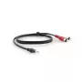 Kabel audio Kramer Electronics C-A35M/2RAM-10 3m 3.5mm 2xRCA Czarny