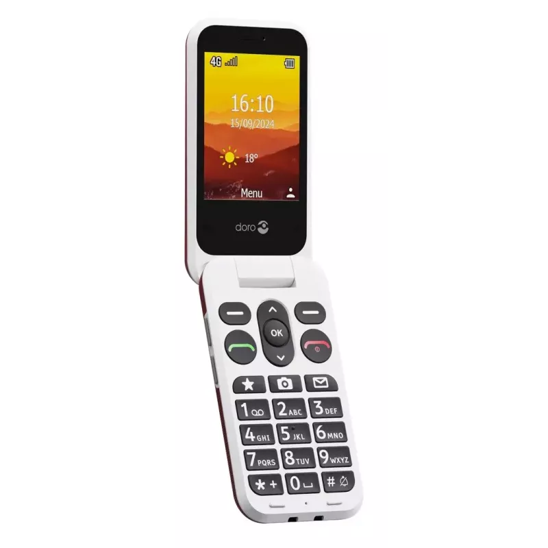 Telefon z klapką Doro Leva L21 2,8 cala