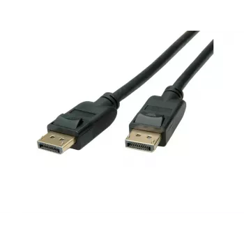Kabel DisplayPort ROLINE 11.45.5811-10 2 m czarny
