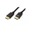 Kabel DisplayPort ROLINE 11.45.5813-10 5 m Czarny