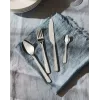 Zestaw sztućców kuchennych ALESSI BG02S24 — komplet noży i widelców stołowych, stal nierdzewna