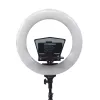HomeStream HS-PROMPTER-RL Ikan