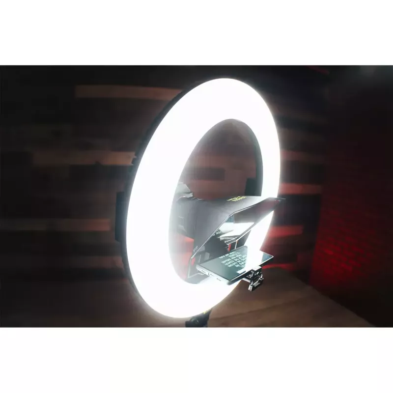 HomeStream HS-PROMPTER-RL Ikan