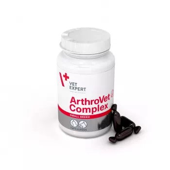VETEXPERT ArthroVet Collagen Small breed - suplementy dla psów i kotów - 60 tabletek