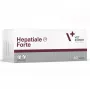 VetExpert Hepatiale Forte 40 tabletek.