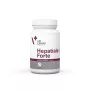 VetExpert Hepatiale Forte Large Breed 40 tabletek.