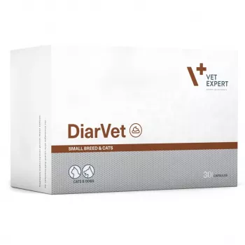 VetExpert Diarvet Small Breed and Cats 30 kaps.
