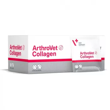 VETEXPERT ArthroVet Collagen - suplementy dla psów i kotów - 60 saszetek