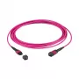 EFB MTP(F)-MTP(F) Kabel krosowy OM4 36 włókien Typ A LSZH wrzosowy fioletowy 20m