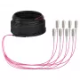 EFB Trunk kabel U-DQ(ZN)BH OM4 8G (1x8) SC-SC 40m Dca LSZH