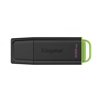 Kingston Technology DataTraveler 256GB Przenośny USB 3.2 Gen 1 Exodia Czarny/Zielony