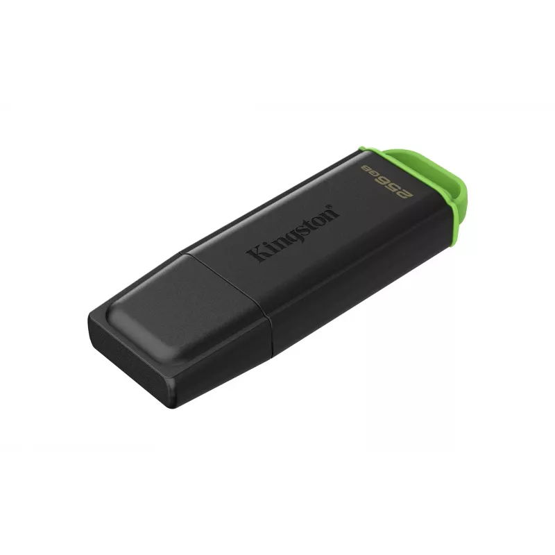 Kingston Technology DataTraveler 256GB Przenośny USB 3.2 Gen 1 Exodia Czarny/Zielony
