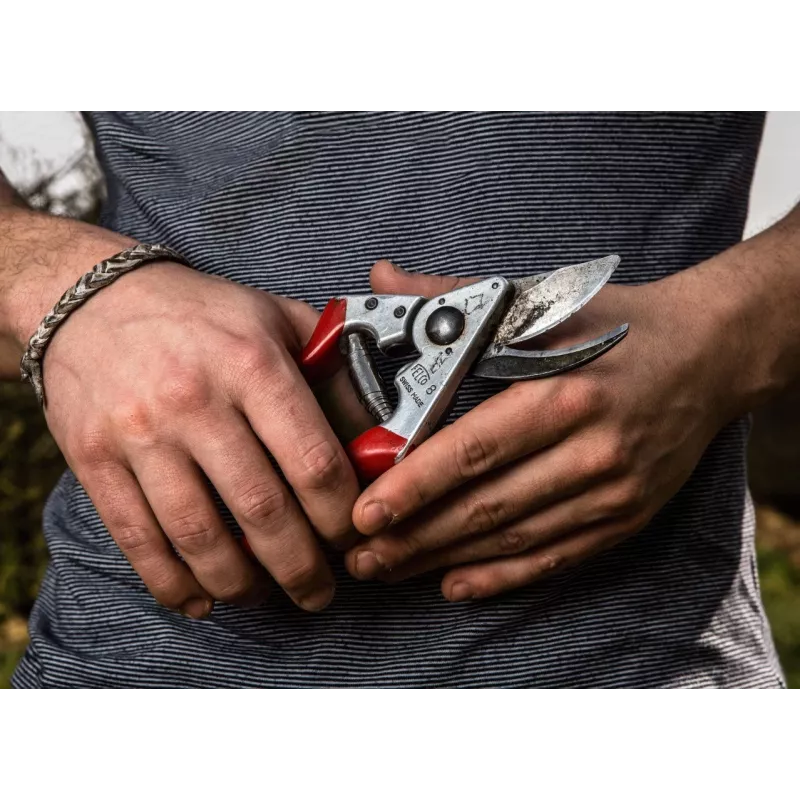 Sekator Felco FELCO-8_FEL
