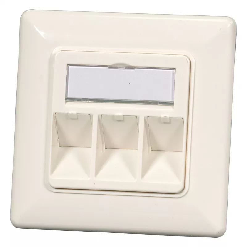 EFB Elektronik 2‑Port Keystone Frame Set ET-25091 — proste gniazdo DIN49075, RAL9003 biały, ramka 80×80 mm z płytką centralną 50×50 mm