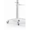 Stojak podłogowy do telewizora 37-70/biały TVS-70T-02-W Gembird