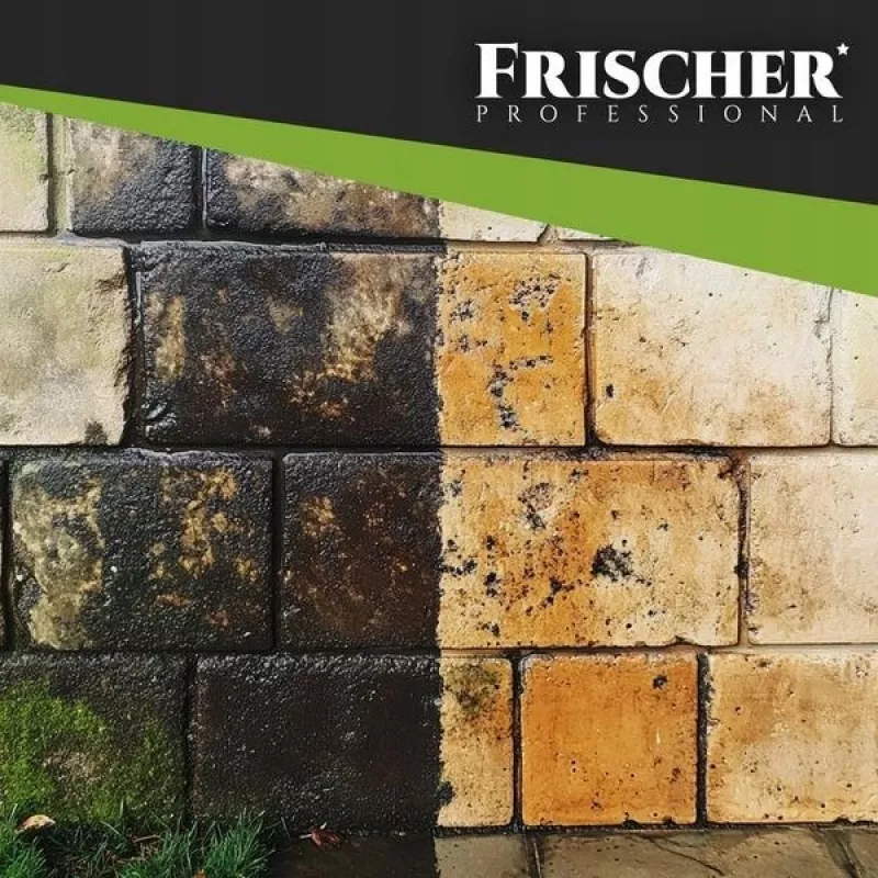 Frischer środek do czyszczenia elewacji 1l