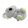 Oddychająca Koala
