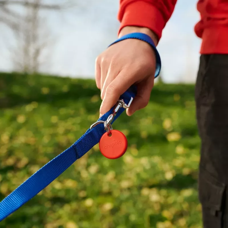 Tracker POP Chipolo czerwony