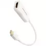 AXAGON RVDM-HI14NW - 0,15 m - Mini DisplayPort - HDMI - Męski - Żeński - prosty