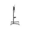 Equip 55 cali-100 cali Ekonomiczny Wózek pod TV, 2,54 m (100 cali), 100 x 100 mm, 800 x 600 mm, -10 - 5°, Tworzywo sztuczne, Stal nierdzewna, Czarny