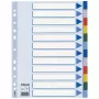 Przekładki Esselte PP A4 12 kart, pusty indeks kart, polichlorek winylu (PVC), wielokolorowe, A4, 2, 4, 6, 225 mm