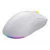 HATOR Quasar 3 Wireless mysz Gaming symetryczna RF Wireless + Bluetooth + USB Typ-A Optyczna 12000 DPI