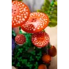 LEGO Botanicals 11505 Leśne grzyby (806 elem.)
