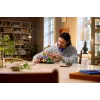 LEGO Botanicals 11505 Leśne grzyby (806 elem.)