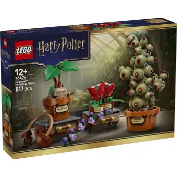 LEGO Harry Potter 76474 Rośliny zielarstwa Hogwartu (817 elem.)