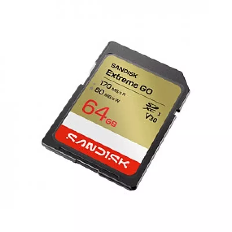 SanDisk Extreme Go SDXC 64GB UHS-I Karta Pamięci (170MB/s Odczyt, V30, 4K)
