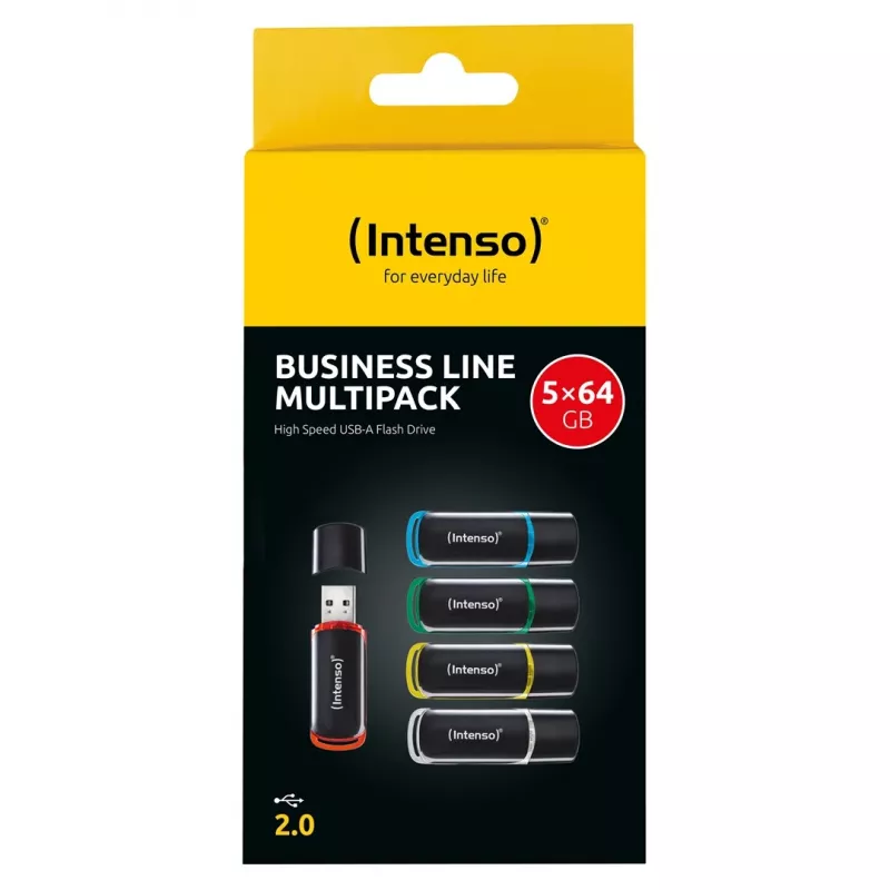 Intenso Business Line 64GB USB 2.0 Flash Drive 5-Pack (Assorted Colors)