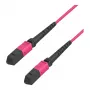 EFB-Elektronik MTP Female - MTP Female 12-włóknowy kabel krosowy OM4 Multimode, LSZH, Erika Violet, Typ B, 3m