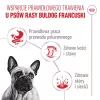 ROYAL CANIN French Bulldog Adult Digestive Health Loaf Box - Mokra karma dla psa - 12x85g