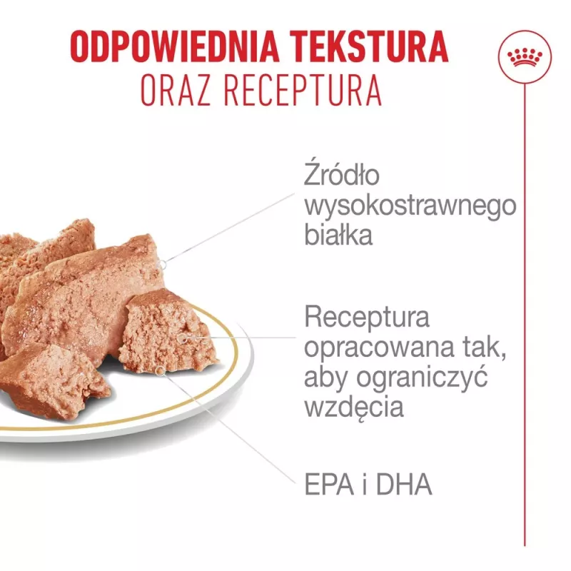 ROYAL CANIN French Bulldog Adult Digestive Health Loaf Box - Mokra karma dla psa - 12x85g