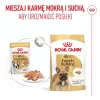 ROYAL CANIN French Bulldog Adult Digestive Health Loaf Box - Mokra karma dla psa - 12x85g