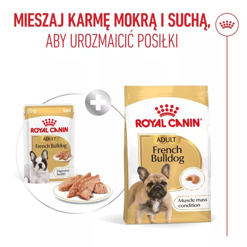 ROYAL CANIN French Bulldog Adult Digestive Health Loaf Box - Mokra karma dla psa - 12x85g