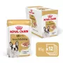ROYAL CANIN French Bulldog Adult Digestive Health Loaf Box - Mokra karma dla psa - 12x85g