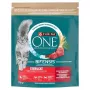 Purina ONE Sterilcat Sucha Karma dla Kotów Wołowina i Pszenica 750g