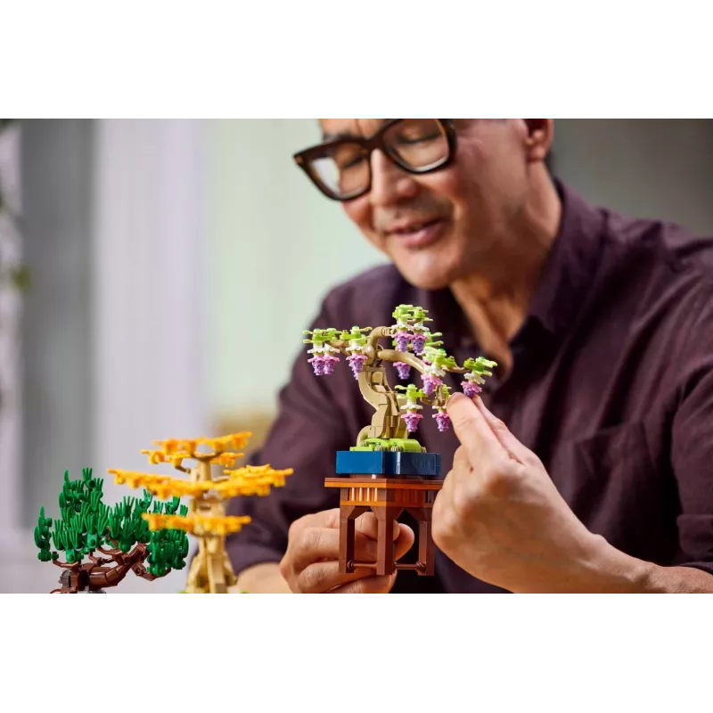 LEGO 10373 Botanical Collection Małe Drzewka Bonsai