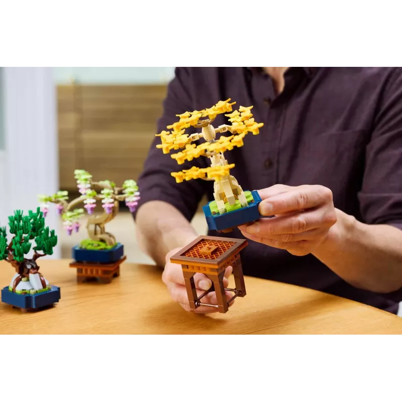 LEGO 10373 Botanical Collection Małe Drzewka Bonsai