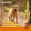 FRONTPRO Tabletki przeciwpchełne i przeciwkleszczowe dla psów (25-50 kg) - 3x 136 mg Afoksolaner Tabletki do żucia
