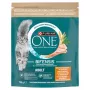 Purina One Mini Active Dog Food Chicken & Rice 750g