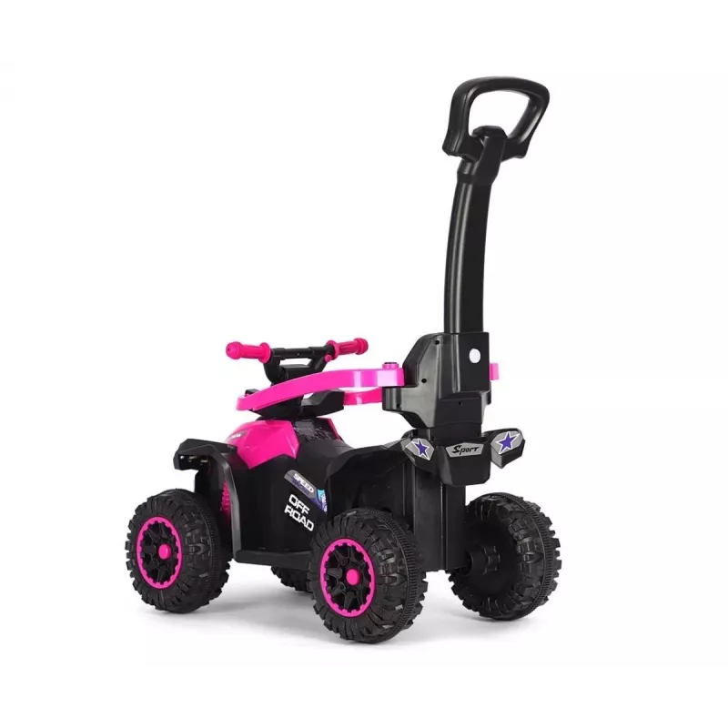 Rower dziecięcy MILLY MALLY z rączką Wild Pink 12 cali