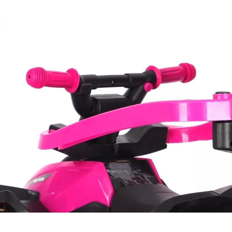 Rower dziecięcy MILLY MALLY z rączką Wild Pink 12 cali