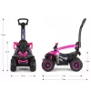 Rower dziecięcy MILLY MALLY z rączką Wild Pink 12 cali